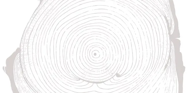 Illustration av årsringar