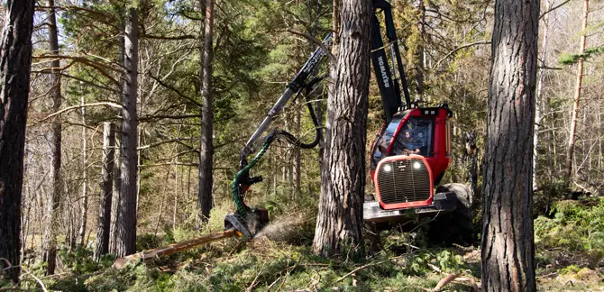 Olle Gustafsson är skördarförare med egna företaget East Loggers. Foto: Ulrika Lagerlöf